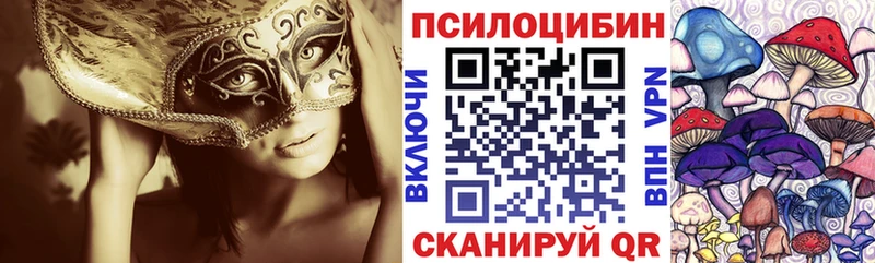 наркота  Ефремов  Галлюциногенные грибы прущие грибы 