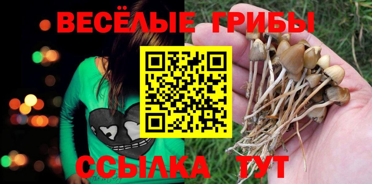 Галлюциногенные грибы GOLDEN TEACHER  Псилоцибиновые грибы Psilocybine cubensis  Вход с VPN  Ефремов 